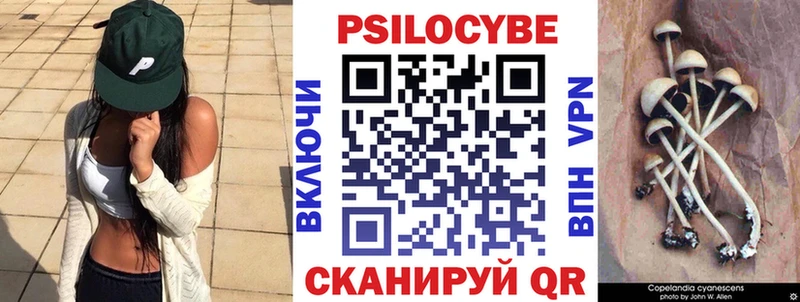 маркетплейс Telegram  ссылка на мегу ссылка  Берёзовский  Галлюциногенные грибы Cubensis 